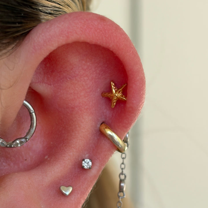 Starfish Single Stud